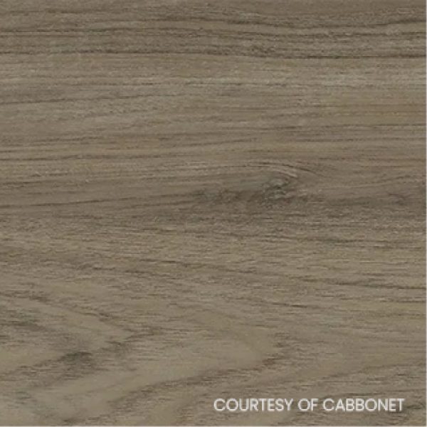 Eucalyptus Wood